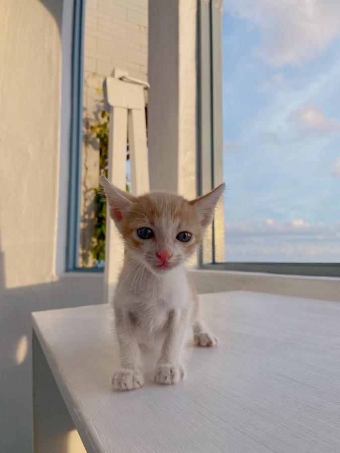 Kenting Met Hi Inn Cape Eluanbi Kültér fotó